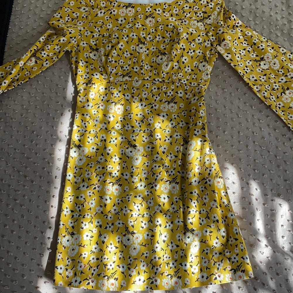 Cute flower summer dress or fall dress. Long sleeve used 3 times